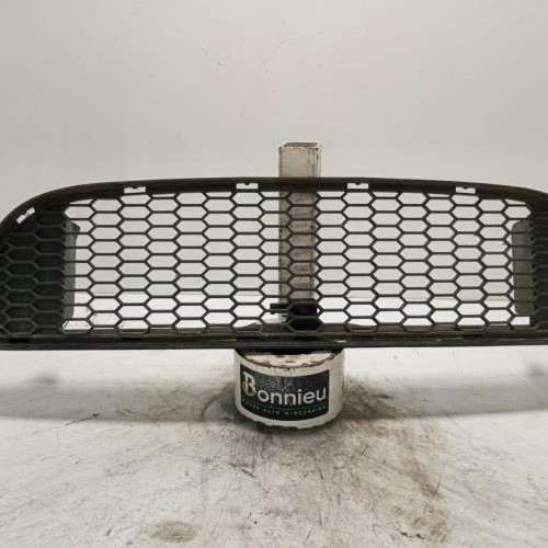 Grille de pare choc