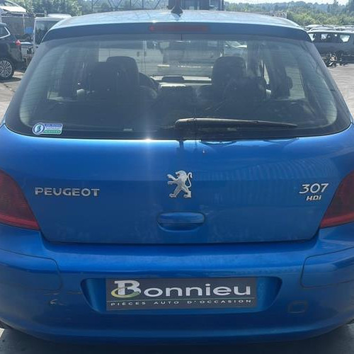 Vehicule-PEUGEOT-307-PHASE-1-2002-cf2a61b02c8a7170eb60712562ae7b3b4069e6a09c78232d01ceba71f730887a_mtn.jpg